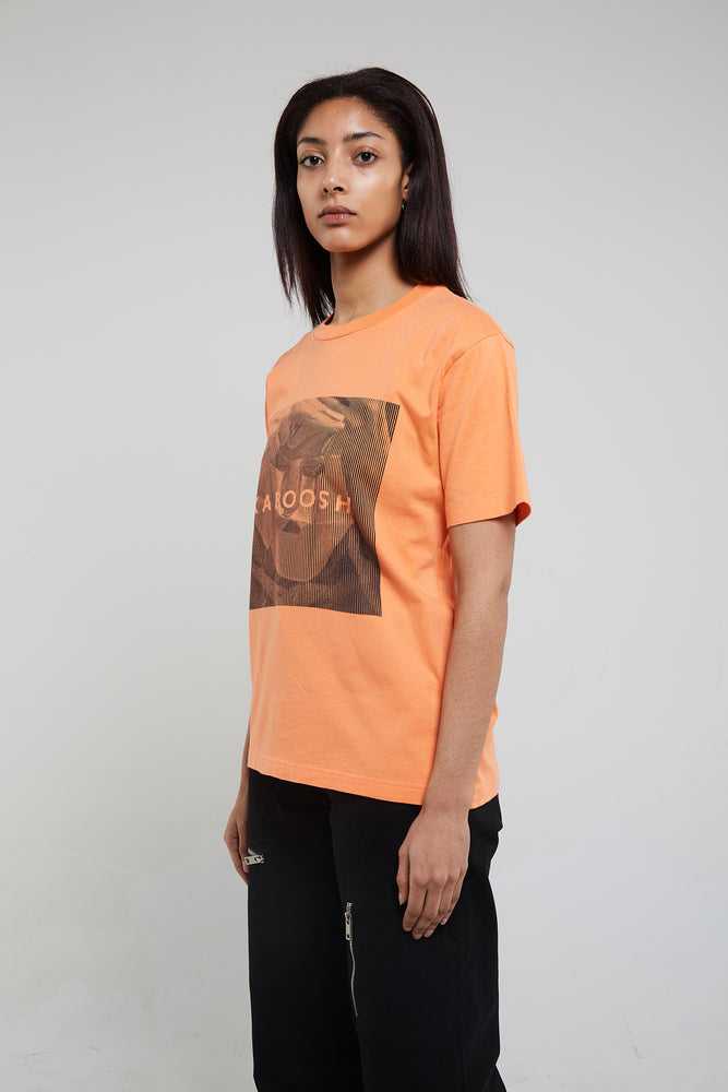Load image into Gallery viewer, Mask tee - salmon.